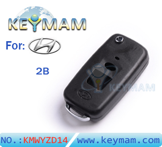 Hyundai Elantra 2 button remote folding key shell