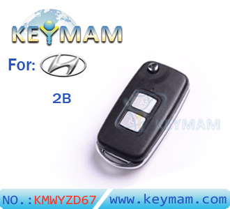 Hyundai Elantra Yuet, New Santa Fe 2 button flip remote key shell