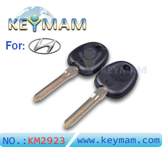 Hyundai key shell ( with right keyblade)
