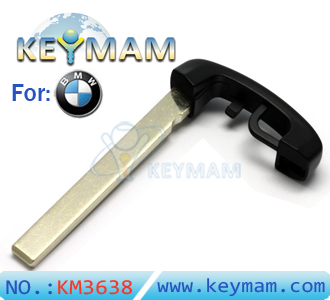 New BMW 5 series smart key blade