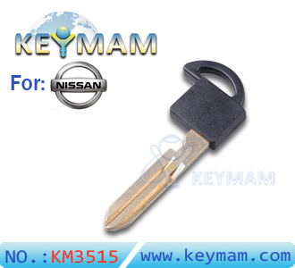 Nissan small smart key