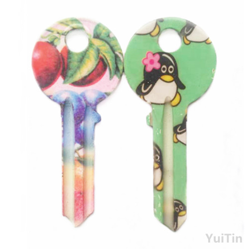 Key blank and keyway Ul050 with colorful pretty cartoon shapes for lock from OSCAR XINGFA Wholesale