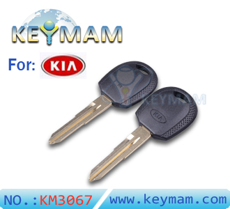 KIA key shell (with right keyblade)